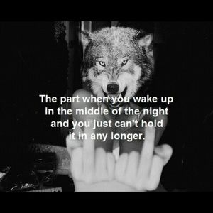 Meet your Posher, Annalyssa